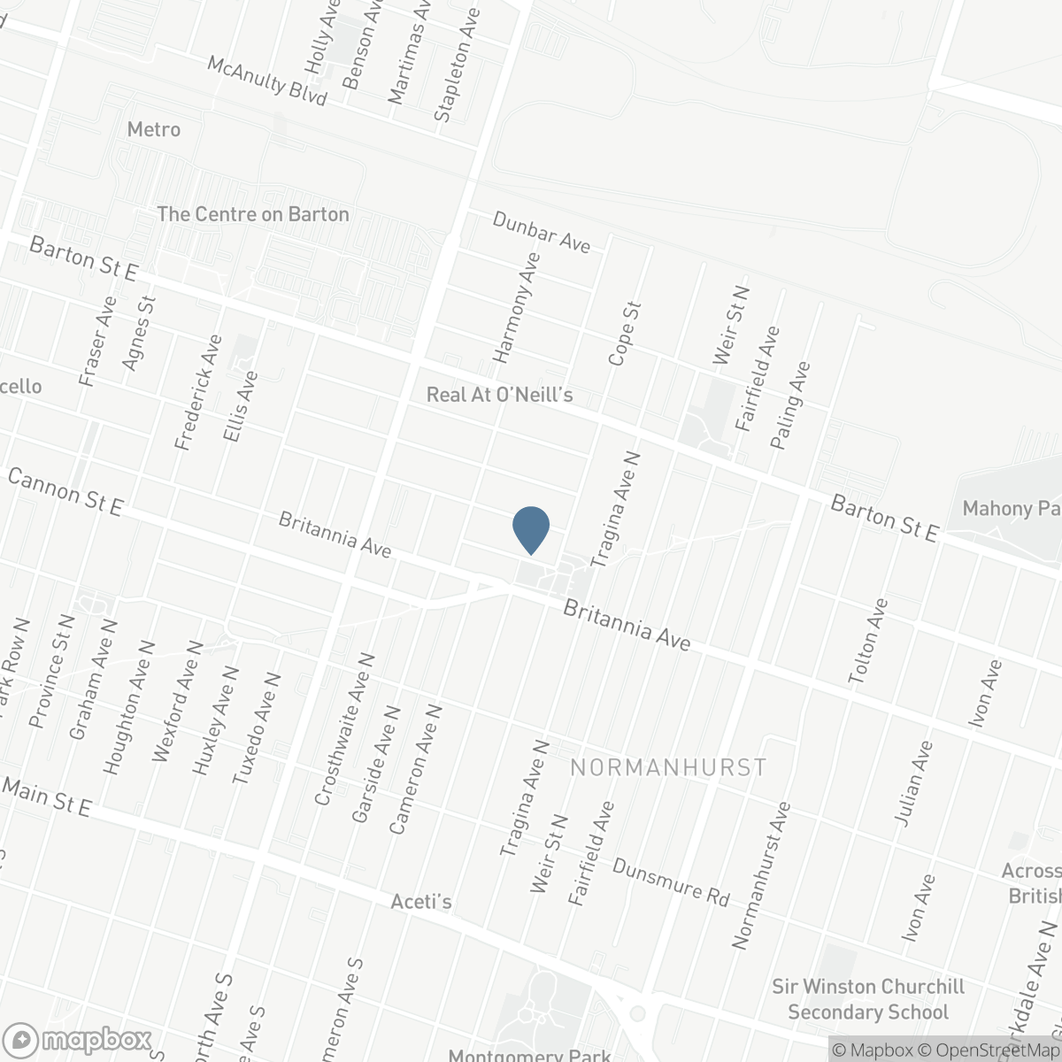 156 HOPE AVENUE, Hamilton, Ontario L8H 2E8